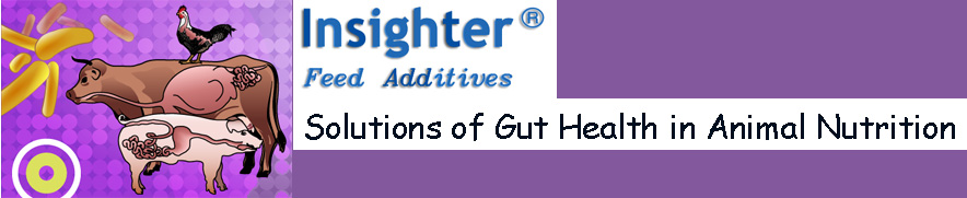 Animal Gut Health Feed Additive